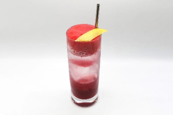 칵테일&목테일 세미나 / Bartender. Gerardo Callipo