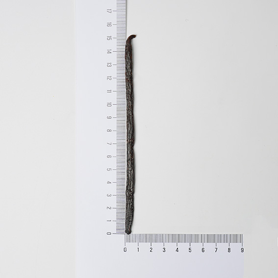바닐라빈(Vanilla Beans)(25g)
