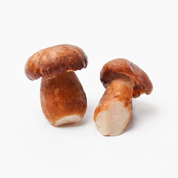 냉동포치니버섯-폴란드산