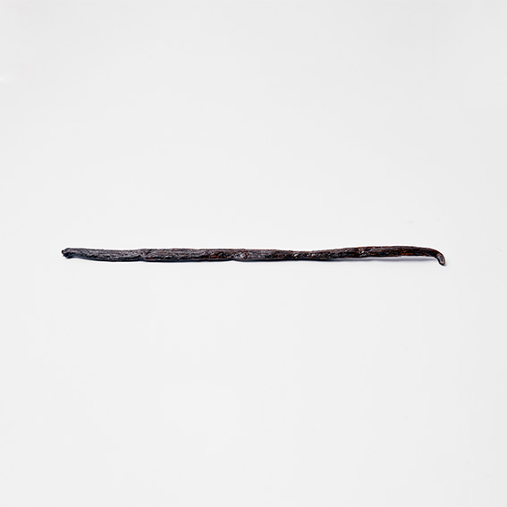 바닐라빈(Vanilla Beans)(25g)