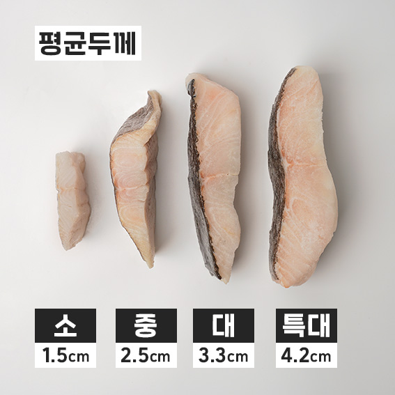 북극해 그린랜드 할리벗(중)